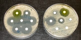 FSSAI unveils action plan on anti-microbial resistance FSSAI