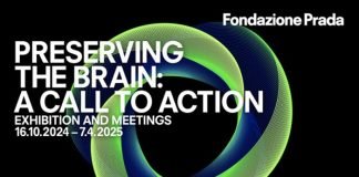 Preserving the brain: A call to action Brain