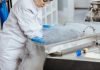 Cryopreserved stem cell donation helps blood cancer patient Stem