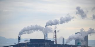 TB in India Pollution