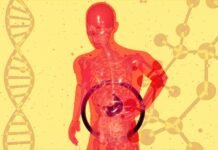 Fatty liver emerging as a new epidemic among youth liver