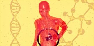 Fatty liver emerging as a new epidemic among youth liver