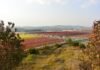 BGG’s new investment at world’s largest astaxanthin plant BGG