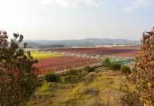 BGG’s new investment at world’s largest astaxanthin plant BGG