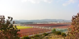 BGG’s new investment at world’s largest astaxanthin plant BGG