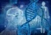 Collaboration of Vgenomics and Meril Genomics Vgenomics