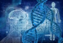 Collaboration of Vgenomics and Meril Genomics Vgenomics