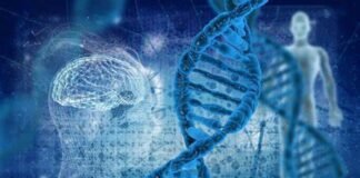 Collaboration of Vgenomics and Meril Genomics Vgenomics