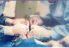 Guide to quality and safety of organs for transplantation Guide