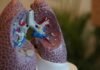 Doctors warn of lung damage due to incense, air fresheners incense