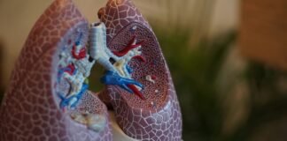 Doctors warn of lung damage due to incense, air fresheners incense