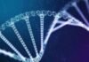 Agilus Diagnostics’ advanced genomic profiling Agilus