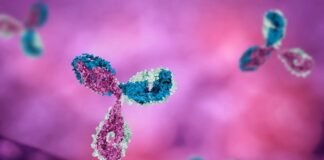 Horus Pharma agreement to commercialize Formycon’s Aflibercept Biosimilar FYB203 Horus