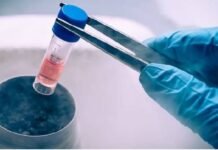 DKMS facilitates 9,100 stem cell donations for blood cancer patients DKMS