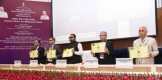 Focus on India’s medicinal plants sector India