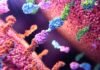 Gilead Sciences acquires Ouro Medicines for over US$2 billion Gilead