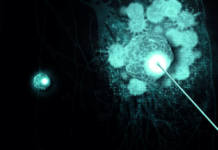 Intra-tumor immunotherapy in cancer care Immunotherapy treatments have revolutionized cancer management over the last decade. Th