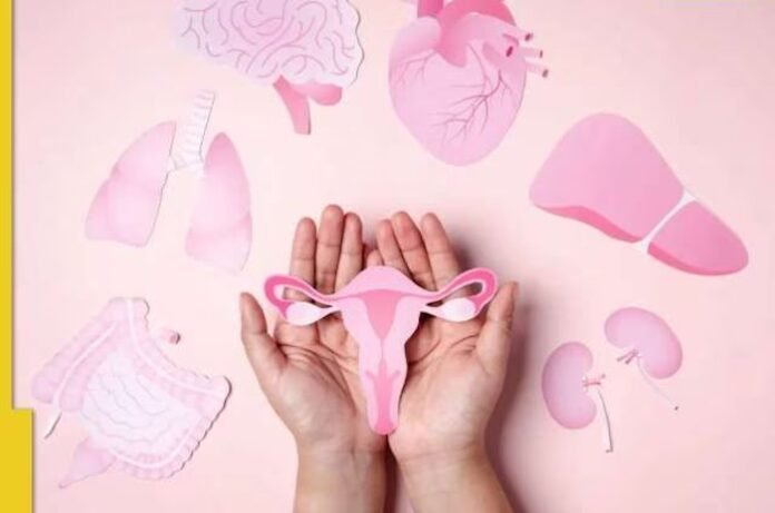 menstruation