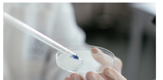 Insilico Medicine and SK Biopharmaceuticals’ AI-powered drug discovery collaboration Insilico
