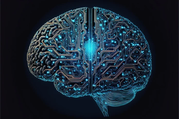 Brain Brain