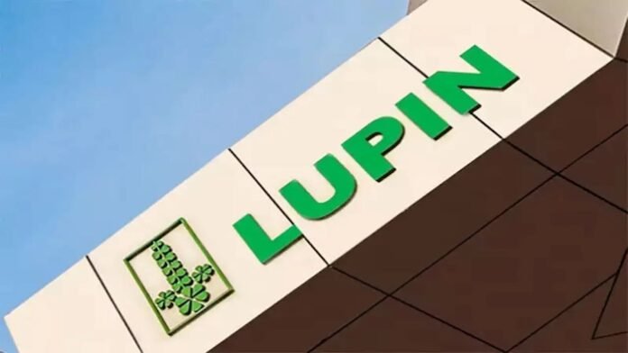 Lupin Lupin