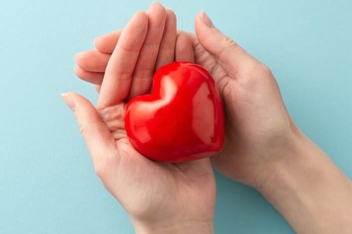 Organ