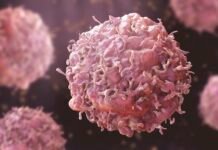 Can diet help reduce cancer risk? Cancer