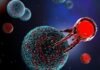 From bone marrow transplants to CAR T-Cell therapy Bone