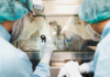 Akiram Therapeutics and ITM Sign Lutetium-177 supply agreement Akiram