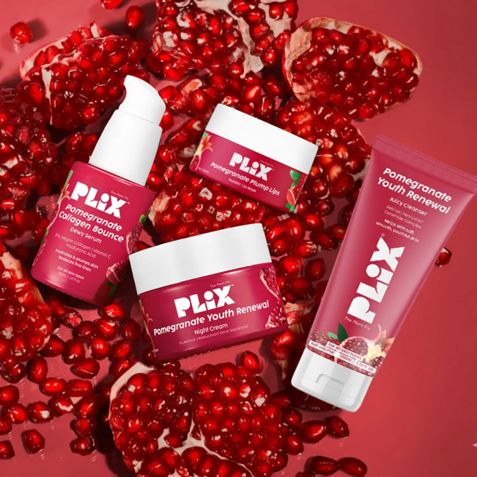 image Marico bought an additional 24.09% stake from Plix's founders Rishubh Satiya and Akash Zaveri and other key shareholders.